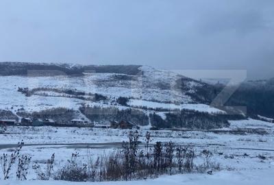 Cabană la munte în inima pădurii la 15 km de Brașov, zona Zizin - 3