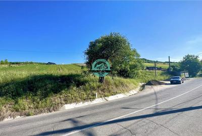 Vand teren intravilan in Sanisor cu suprafata de 4946 mp - 2