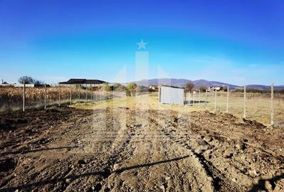 Teren intravilan | 1800 mp | 14 ml deschidere | Alba-Micesti - 3