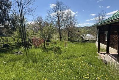 Casă parter+mansarda 100mp + beci, cu teren intravilan 1400 mp - 24