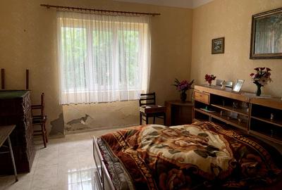 Casa individuala în Otelec - 3.313 mp teren - 2 fronturi stradale - 5