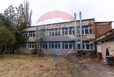 Platforma industriala 33.000 mp | fosta fabrica dolomita | acces TIR | - 15