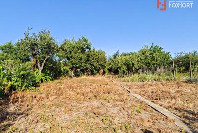 COMISION 0% - Casa individuala 5 camere cu teren 1348 mp - Giarmata - 33
