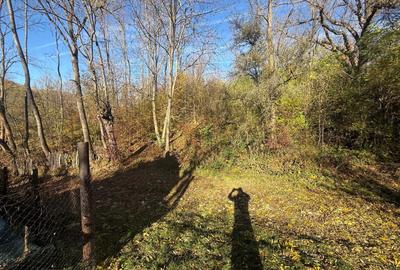 Teren langa pădure 6400mp+casa demolabila-deschidere 35 ml - 4