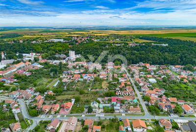 Casă spațioasă cu livadă în Buziaș - 18