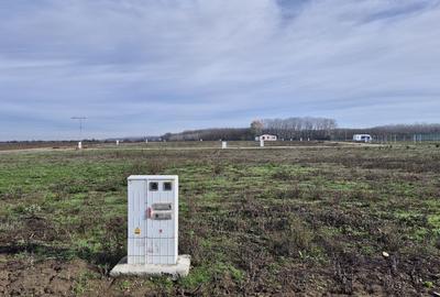 Loturi de teren 638 mp - curent tras la teren - Crevedia - 1