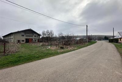 Hala, spatiu comercial, vad, de la 423mp la 1744mp, Vama Albita - 16