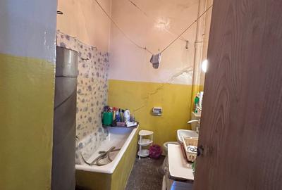 Parcul Carol, apartament 2 camere la curte - 12