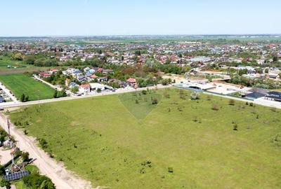 Domnesti- vanzare teren intravilan 10.000mp/ Soseaua Curtea Domneasca - 9