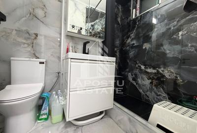 Apartament 3 camere,de vanzare,zona Dambovita, Timisoara - 10