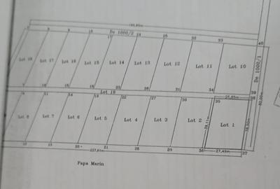 SUPER OFERTA - Teren intravilan Peris - 19240 mp lotizat - 3