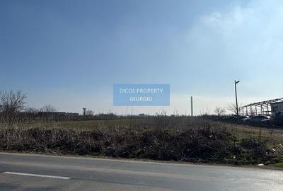 De vânzare teren extravilan 7500mp,  Șos. Alexandriei - 1