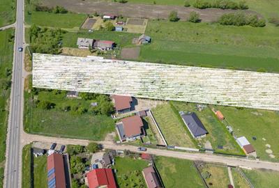 Teren intravilan Bod | Front 46 m la Asfalt | Utilități pe/lângă Teren - 4