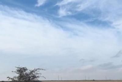 Teren Intravilan de 15.000 mp de vanzare in Ștefanestii de Jos. - 1