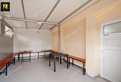 Vanzare Proprietate mixta si Afacere la cheie in Sat Costi, teren 400 mp - 17