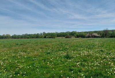 Teren de vanzare intravilan 5000 m2 Cisnadie zona SOMA - 1