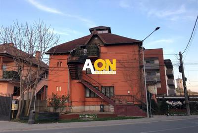 Casă individuală cu 9 camere în Cetate