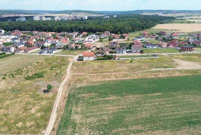 Teren intravilan de vanzare in Sanmartin, zona Beverly Hills, langa padure - 1