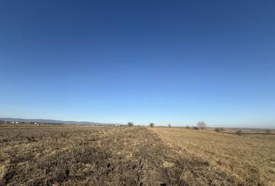 Teren extravilan | Rădăuți | 600 m de centură | 20 m front - 2