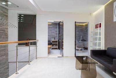 Vila Superba - 8 Parcari - Curte 250 MP - Mobilata LUX - Ocazie rara - 10