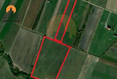 Teren intravilan Dobolii de Jos 47.700 mp | PUZ+autorizație | POT 50% - 2