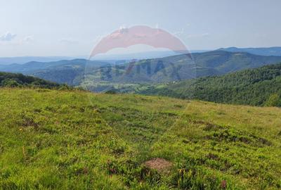 Teren 130000 mp extravilan, faneata si padure, Munteni - Bulz, Negreni - 11