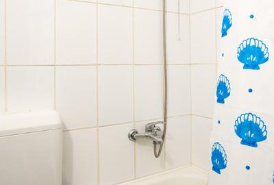 Oportunitate de investiție – Apartament 2 camere, zona Cireșica - 2