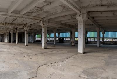 Clădire industrială cu potențial mixt – producție, depozitare, servicii –Toplița - 6