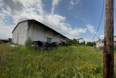Hală industrială + teren 2.716 mp de vânzare în Baia Mare | Zonă industrială | - 9