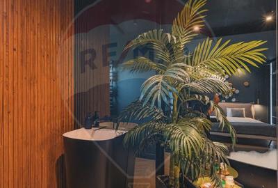 PENTHOUSE DE LUX ÎN BUNĂ ZIUA | BUSINESS LA CHEIE ÎN REGIM HOTELIER - 13