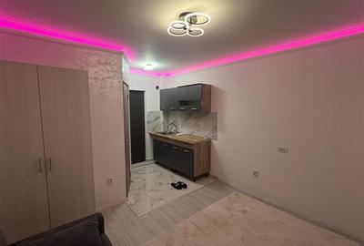 Vanzare camera camin renovata complet - 3
