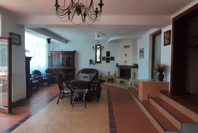 Casa de vacanta sau pensiune situata langa Cabana Trei Brazi Predeal - 38