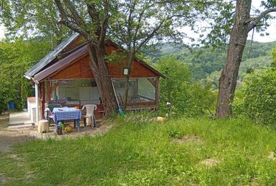 Proprietate de vanzare in Golești - 10800 mp teren și două case - 4