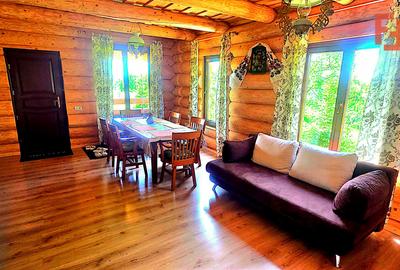 Cabana cu 7 camere de vanzare in Albac - V10073 - 33