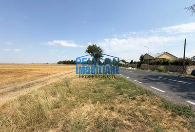 Teren intravilan M. Kogalniceanu, 4000MP, la drumul national - 1