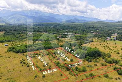 Teren agricol extravilan de 8606 mp, în Avrig