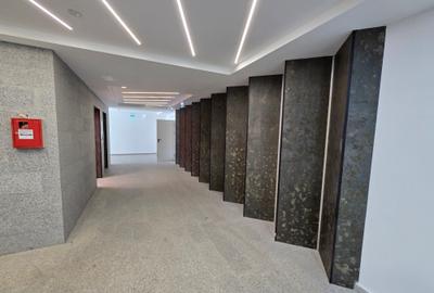 Închiriere Apartament 2 Camere Gorjului Novum - 14