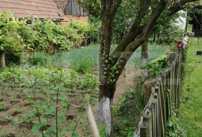 Casa off-grid 5 camere Sangatin judetul Sibiu - 8