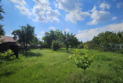 Teren intravilan 1400mp, deschidere 20mp, Snagov - 4