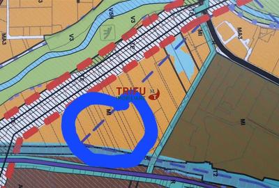 Teren Intravilan, 1ha,  langa noul Mall - 2