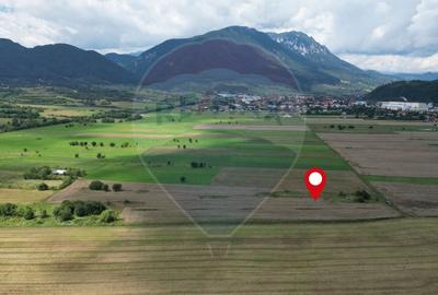 Teren intravilan de vânzare 1180 mp – Zărnești - 1