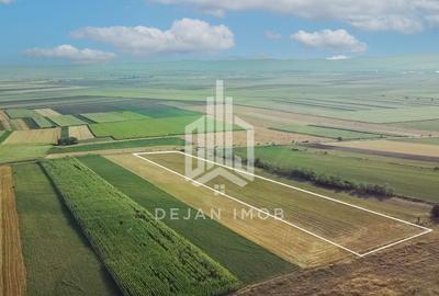 Teren extravilan | 19.000 mp | Ghidfalău - 10