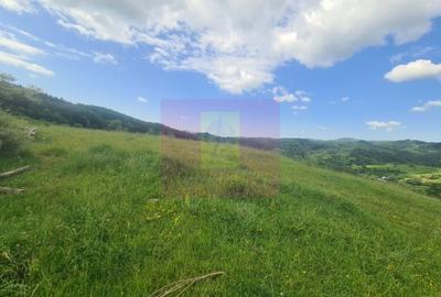 Teren agricol intravilan de 9037 mp, în Plaiul Tălii