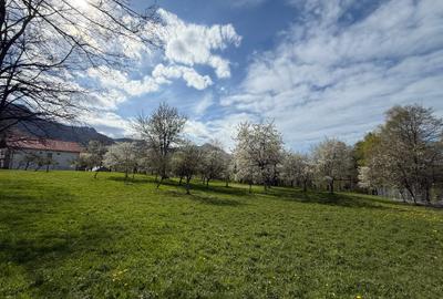 Teren intravilan 1355 mp in zona Bran, judetul Brasov - 4