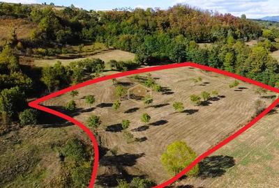 VIDEO | Super view | Teren 8.500 m² in Maramures | Viitorul tau colt de liniste - 2