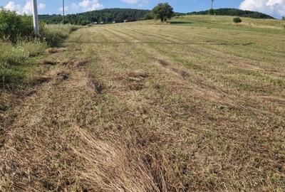 Teren Construcții intravilan de 5800 mp, în Aghireșu-Fabrici