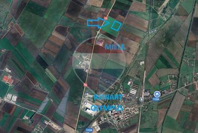 Teren industrial de vânzare – DN13, Feldioara, Brasov! - 2
