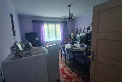 Casa 100m2 in zona Brad (Teren 1026m2) - 10
