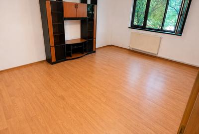 Apt 3 cam, 2 bai, centrala termica, se acceptă animale companie talie mică - 10