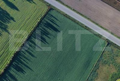 Teren Construcții intravilan de 50000 mp, în Exterior Sud
